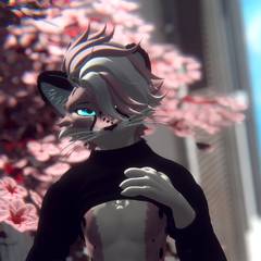 Avatar wearing an aidenfur hairstyle