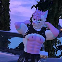 Avatar wearing an aidenfur hairstyle