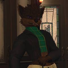 Avatar wearing an aidenfur hairstyle