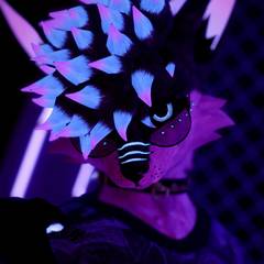 Avatar wearing an aidenfur hairstyle