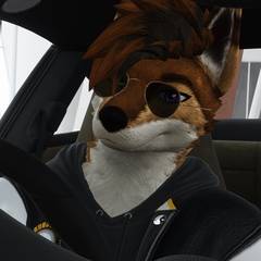 Avatar wearing an aidenfur hairstyle