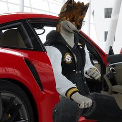 Avatar wearing an aidenfur hairstyle