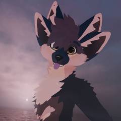 Avatar wearing an aidenfur hairstyle