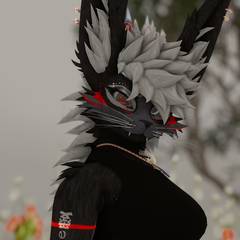Avatar wearing an aidenfur hairstyle