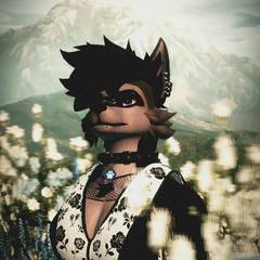 Avatar wearing an aidenfur hairstyle