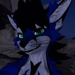 Avatar wearing an aidenfur hairstyle
