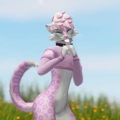 Avatar wearing an aidenfur hairstyle