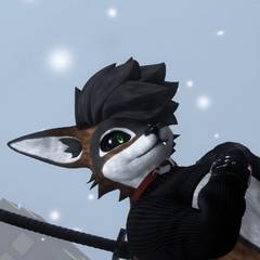 Avatar wearing an aidenfur hairstyle