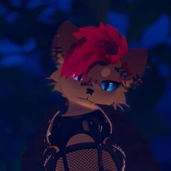 Avatar wearing an aidenfur hairstyle