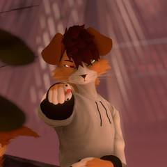 Avatar wearing an aidenfur hairstyle