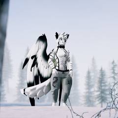 Avatar wearing an aidenfur hairstyle